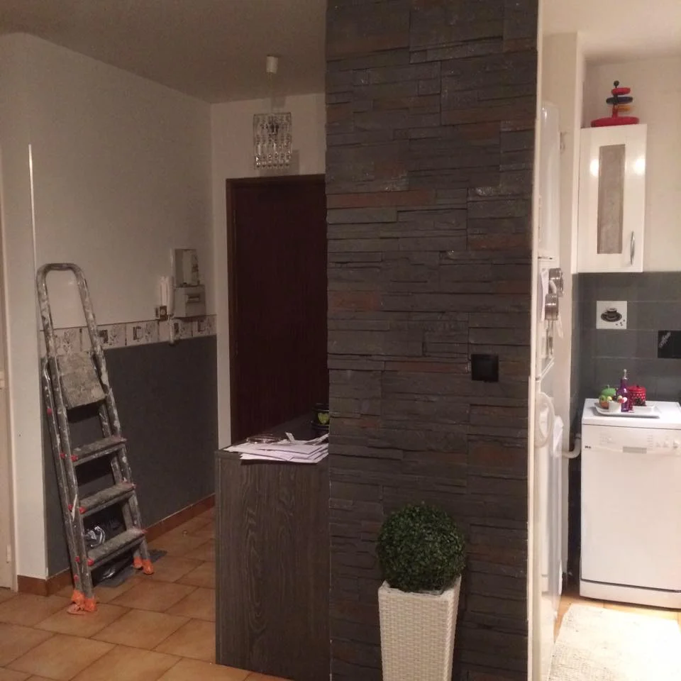 Appartement rénové avec mur en parement pierre et cuisine moderne.